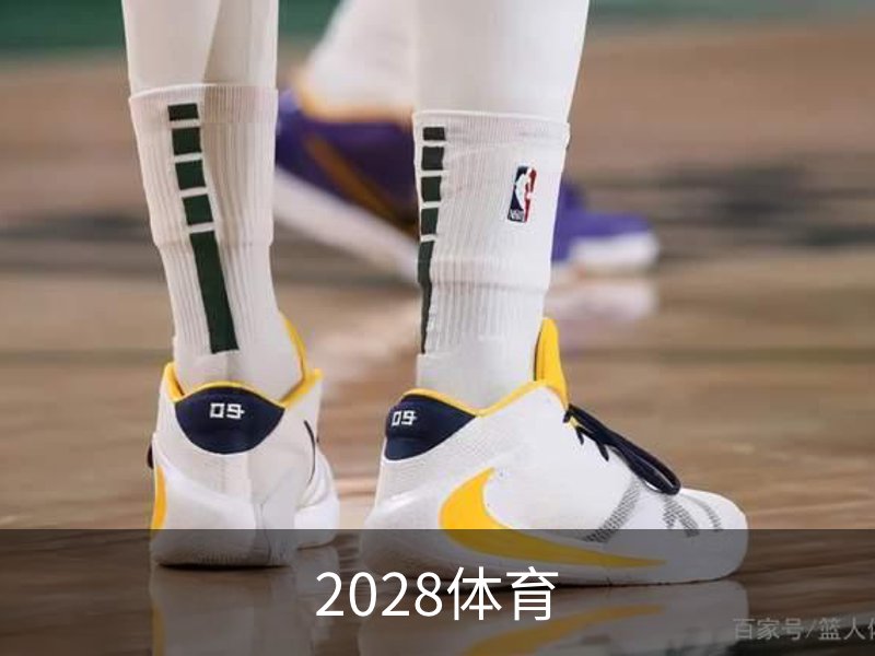 2028体育概况